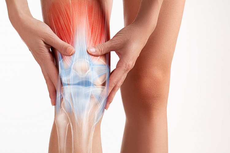 Как болит сухожилие на колене